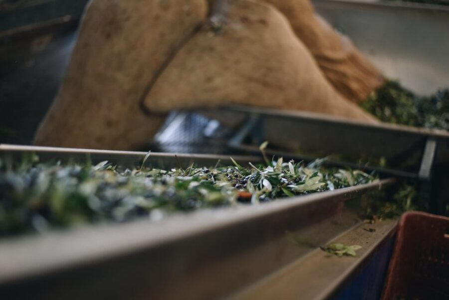 Heraklion: Olive Farm Tour with Tasting of Local Delicacies - Key Things I’d Put on Your Radar