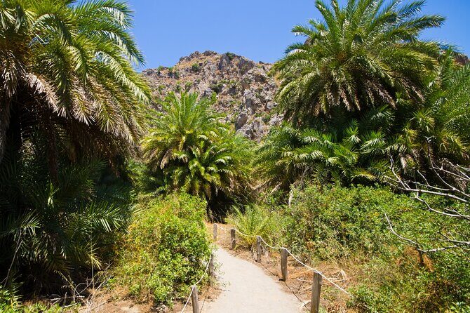 Heraklion: Preveli Boat Trip, Damnoni & Kourtaliotiko springs - Damnoni Beach: swim, lunch options, and quick coastal exploring