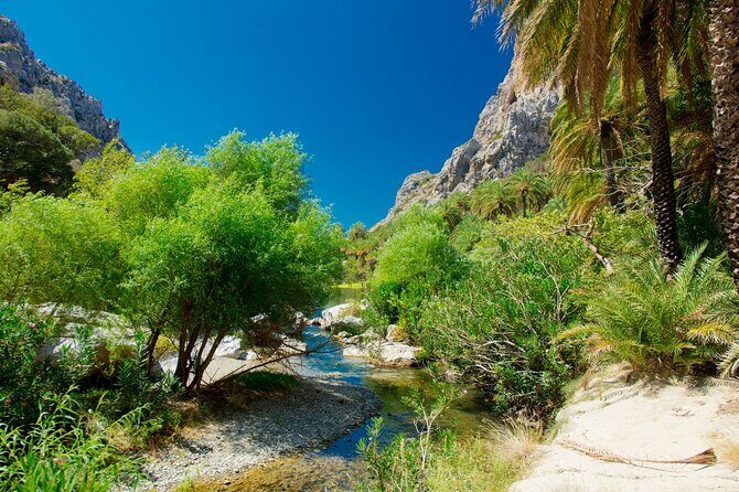 Heraklion: Preveli Boat Trip, Damnoni & Kourtaliotiko springs - Preveli Palm Beach: the reason many people choose this tour