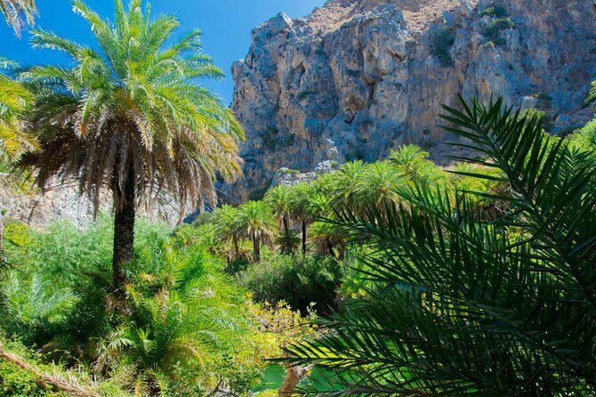 Heraklion: Preveli Boat Trip, Damnoni & Kourtaliotiko springs - What to bring (and what to skip)