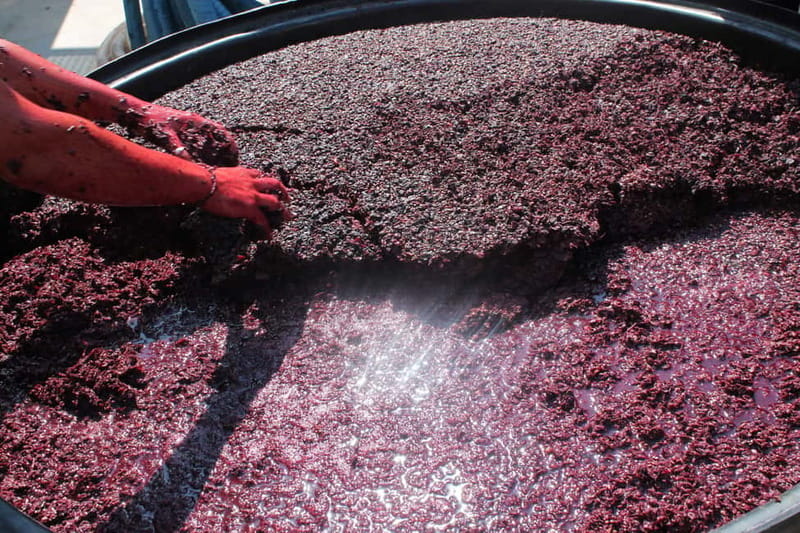 Heraklion: Private Food and Wine Tour with a local Sommelier - Who will enjoy this experience most