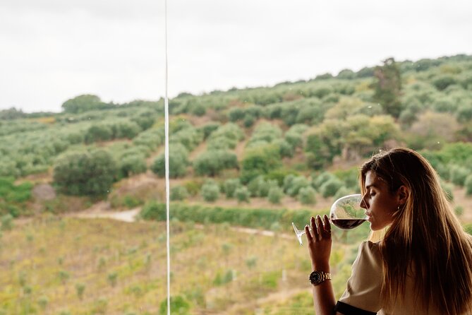 Heraklion Private Half-Day Gastronomy Diaries Experience in Lyrarakis Winery - A Cretan meal, not just a snack plate