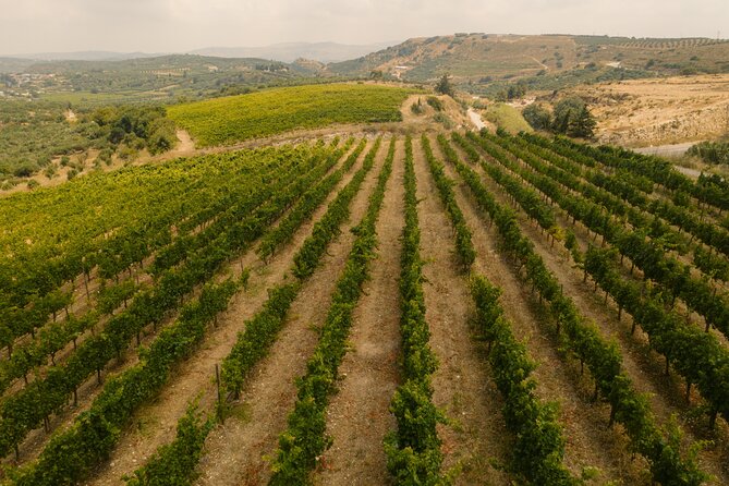 Heraklion Private Half-Day Gastronomy Diaries Experience in Lyrarakis Winery - What the private format is really worth