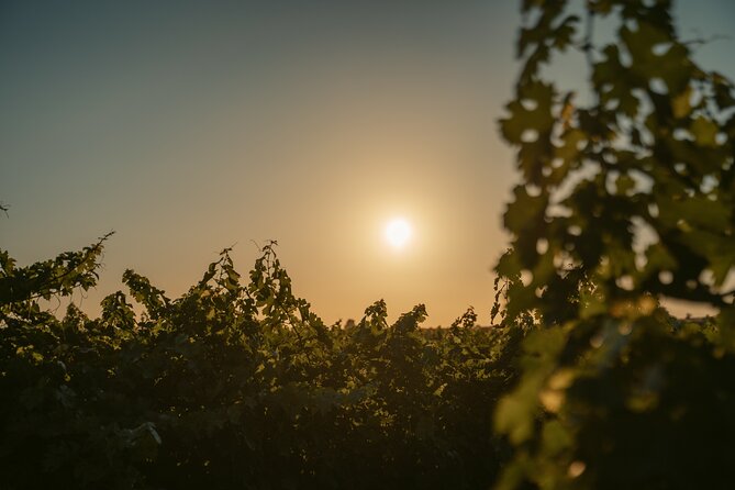 Heraklion Private Half-Day Wine Tasting Tour in Lyrarakis Winery - Key points to know before booking