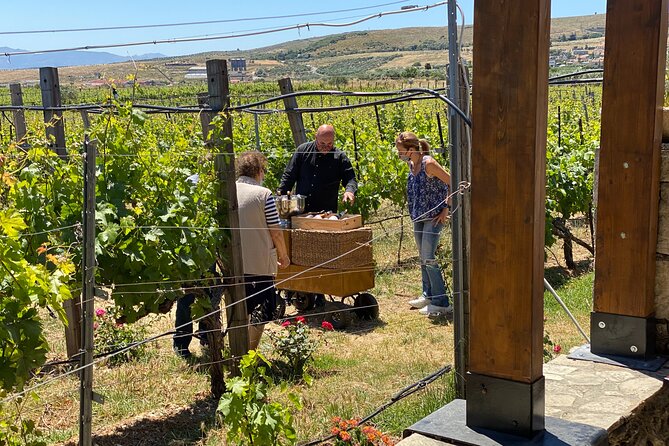 Heraklion Private Half-Day Wine Tasting Tour in Lyrarakis Winery - Six wines with a certified sommelier
