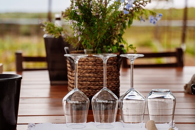 Heraklion Private Half-Day Wine Tasting Tour in Lyrarakis Winery - What the $183.42 price means