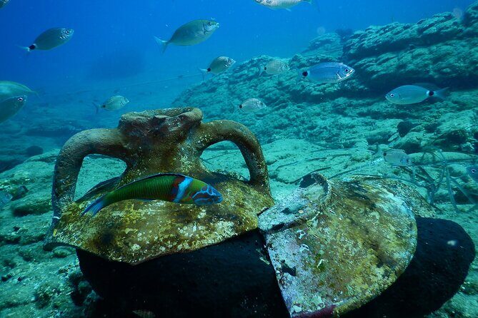 Heraklion: Scuba Diving Experience for Beginners - What happens before you go underwater: the 30-minute theory that actually helps
