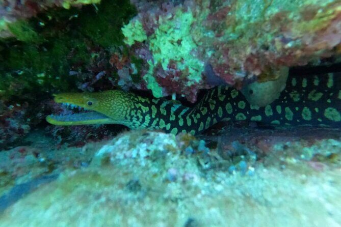 Heraklion: Scuba Diving Experience for Beginners - How long is it really underwater? (and why it can vary)