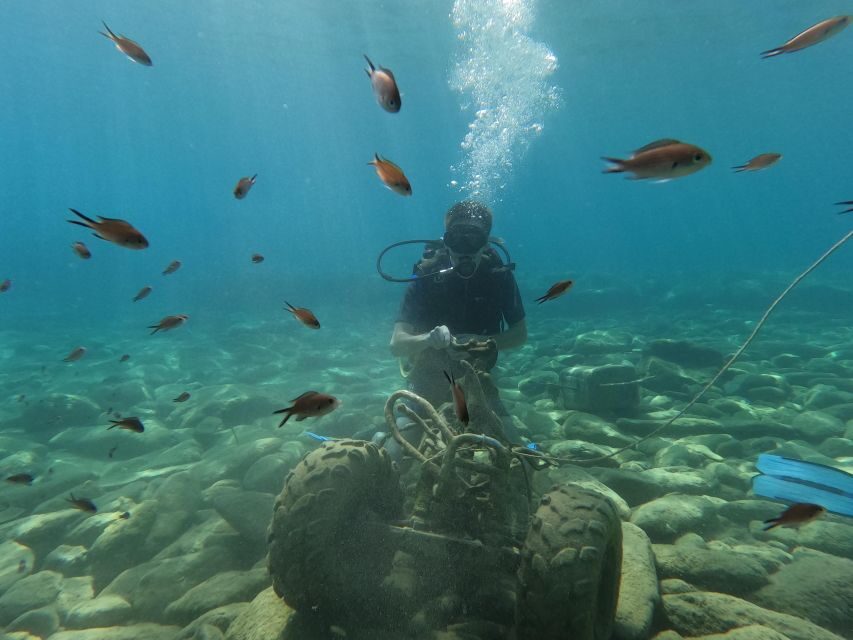 Heraklion: Scuba Diving Experience for Beginners _Beach - What You’ll See Underwater: Fish, Seabed Sun Rays, and Nearby Rock Formations