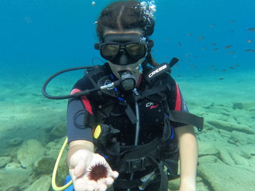 Heraklion: Scuba Diving Experience for Beginners _Beach - Gear, Gear Rules, and What to Pack (So You’re Not Rushing)