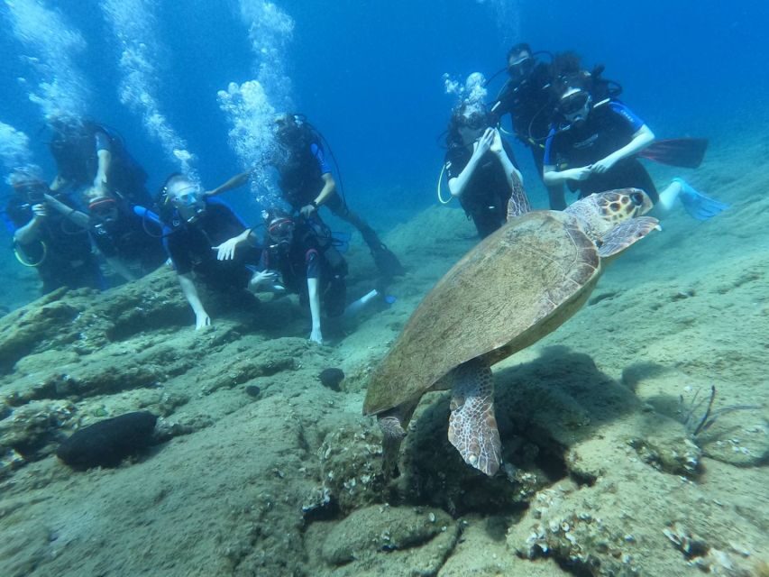 Heraklion: Scuba Diving Experience for Beginners _Beach - Price and Value: What $81 Really Buys (And What Costs Extra)