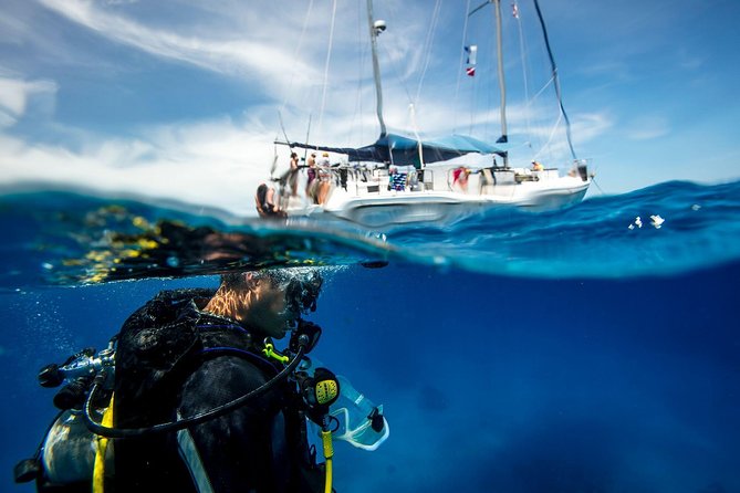 Heraklion: Scuba Diving Experience for First-Timers - Key points for a first scuba session in Crete