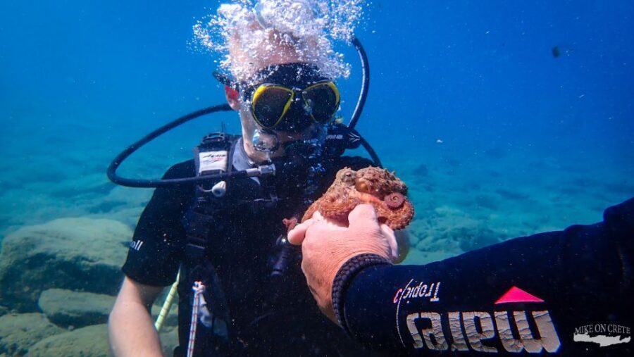 Heraklion: Scuba Diving Experience for First-Timers - Your time in the water: controlled, supervised, and beginner-paced