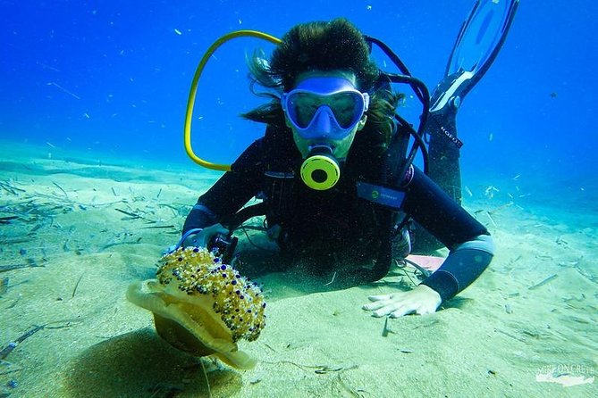 Heraklion: Scuba Diving Experience for First-Timers - Practical details that affect your day