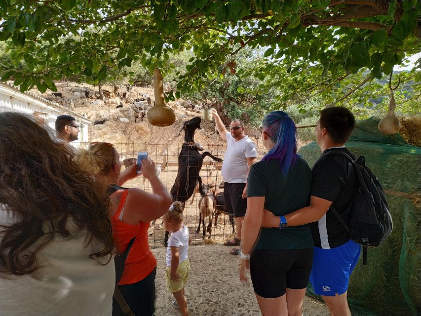 Heraklion: Self-Driving 4X4 Jeep Off-Road Tour with Lunch - Across the Lasithi Plateau