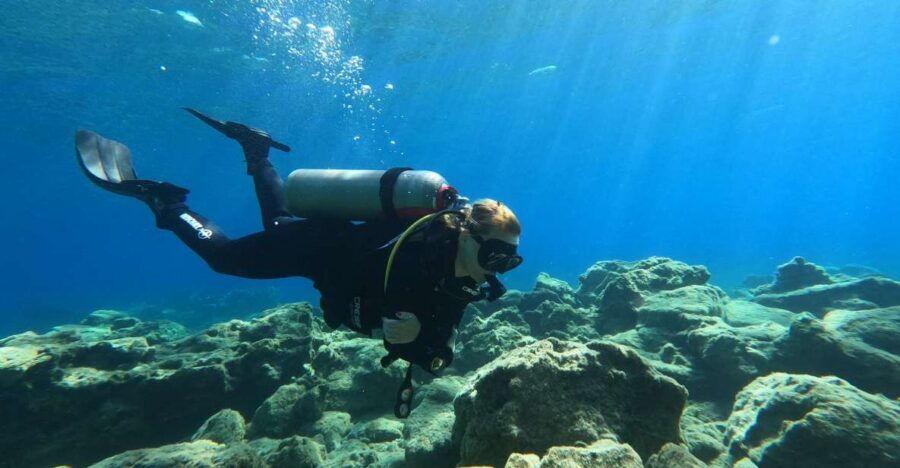 Heraklion: Try Scuba Diving For Beginners (1 dive) - What You Learn First: Beginner Skills That Make Everything Feel Safer