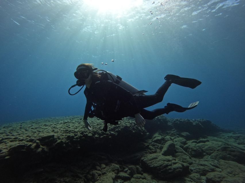 Heraklion: Try Scuba Diving For Beginners (1 dive) - Price and Value: Is $116 a Fair Deal?