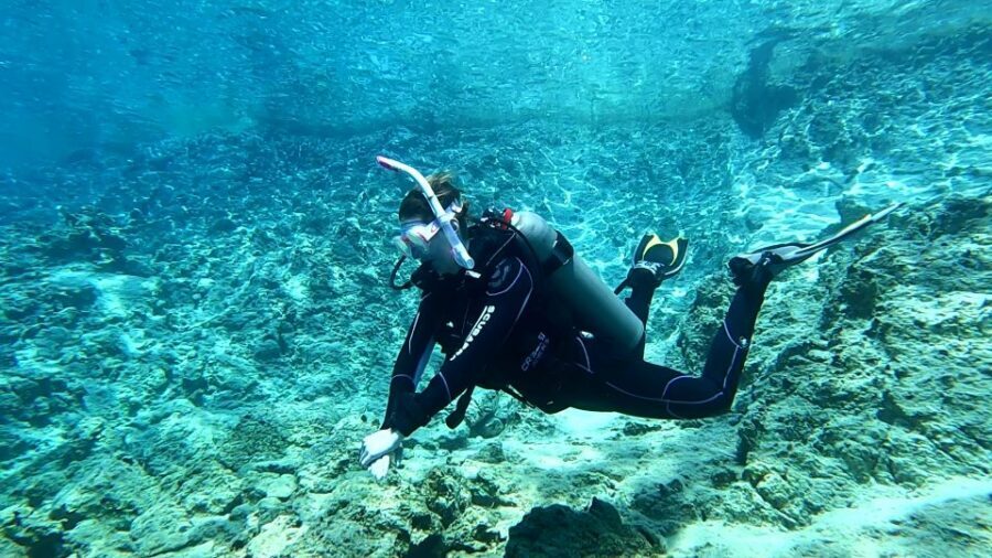 Heraklion: Try Scuba Diving For Beginners (1 dive) - Who This Is Best For (and Who Should Skip It)