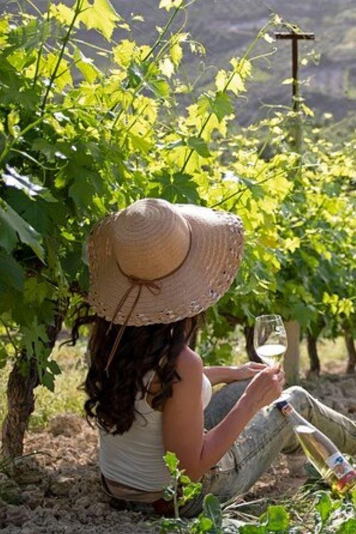 HERAKLION: Wine tasting at Douloufakis Vineyards ARISMARI - Why the family connection adds something