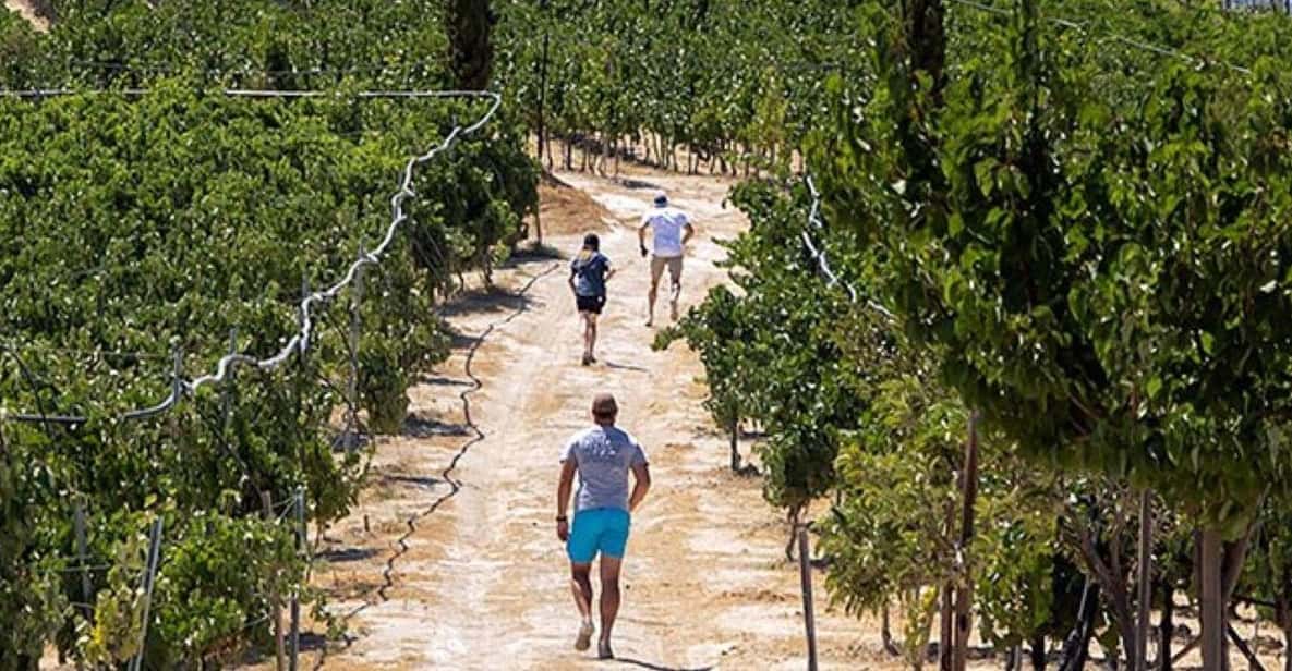 HERAKLION: Wine tasting at Douloufakis Vineyards ARISMARI - Is $53 a fair price?