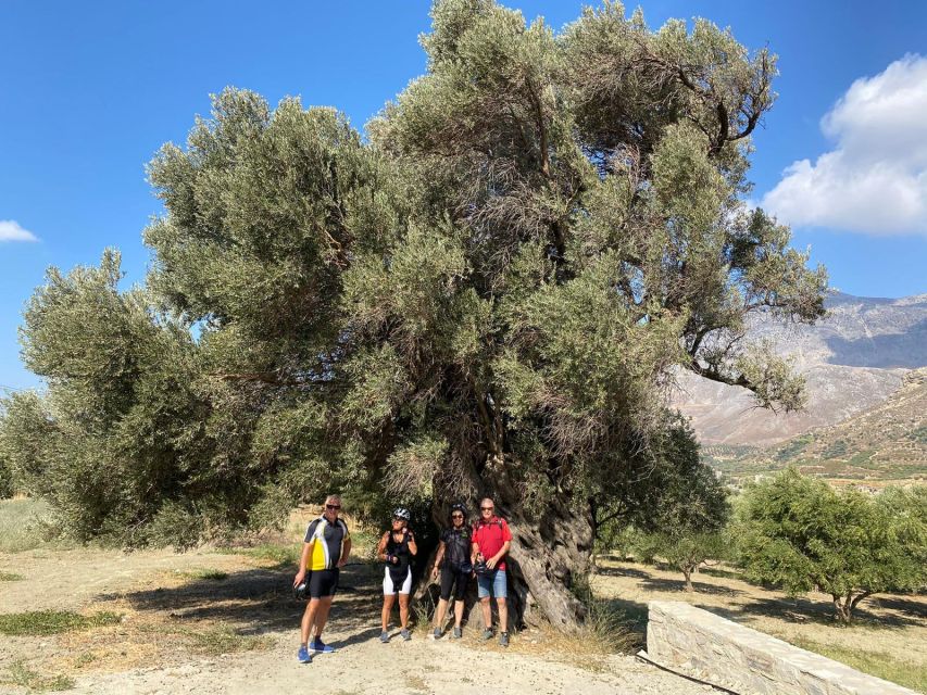 Heraklion: Wine Tasting E-Bike Tour - Should you book the Dafnes wine e-bike tour?