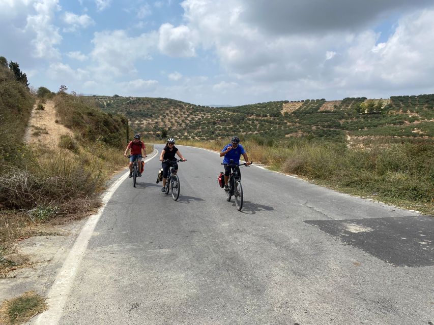 Heraklion: Wine Tasting E-Bike Tour - The e-bike helps, but it does not erase the hills