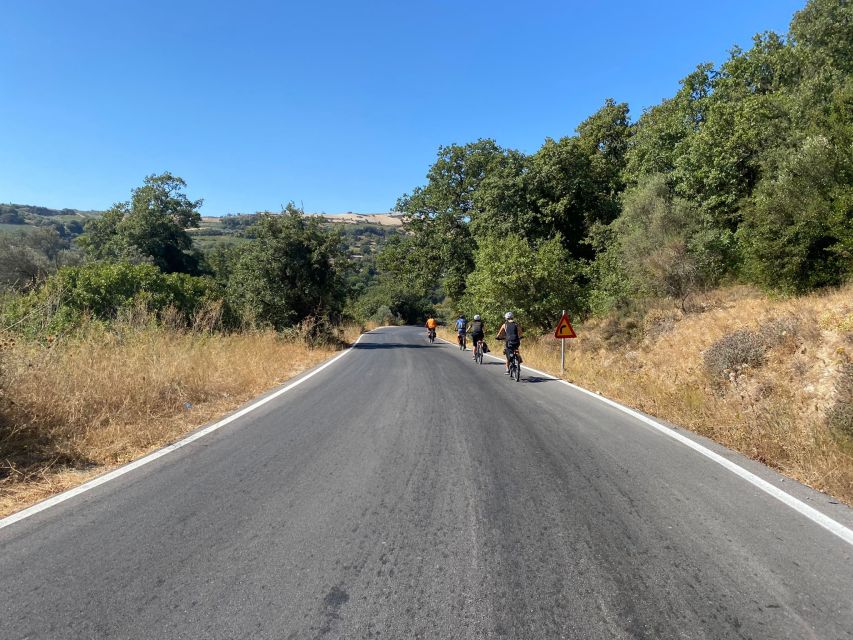 Heraklion: Wine Tasting E-Bike Tour - A good match for curious cyclists