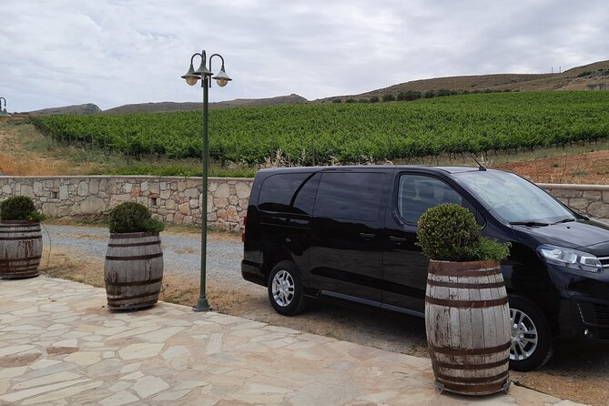 Heraklion wine tour & Cretan meze lunch - Walking among vines and learning Cretan grape traditions