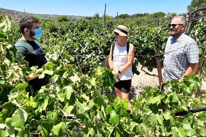 Heraklion wine tour & Cretan meze lunch - Should you book the Heraklion wine tour?