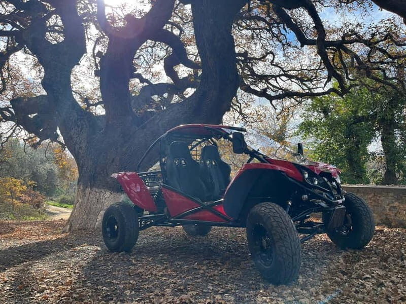 Hersonissos: Buggy Adventure Tour - Price, group size, and who should book