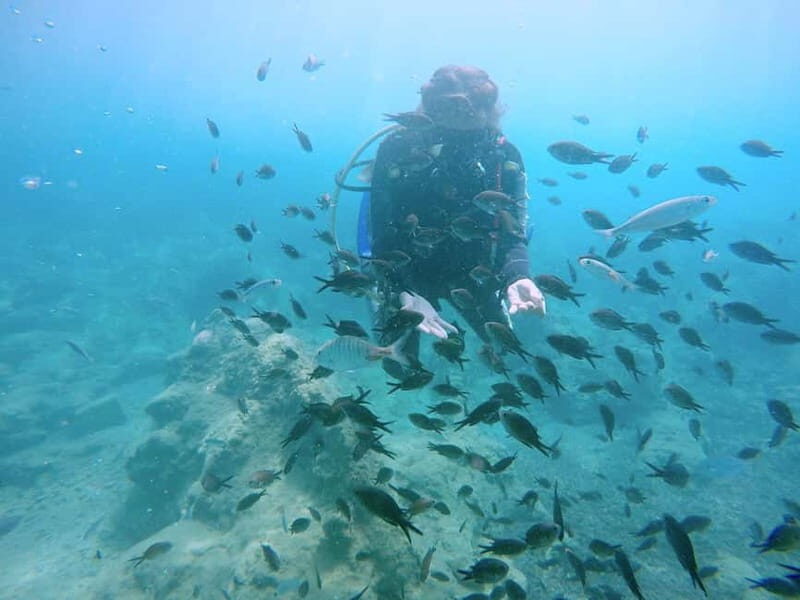Hersonissos, Stalida: Scuba Diving Experience for beginners - Beginner Scuba Training in Hersonissos: What Makes It Feel Safe