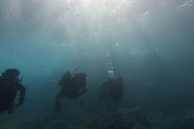 Hersonissos, Stalida: Scuba Diving Experience for beginners - Fitness, Medical Checks, and Who Should Skip This