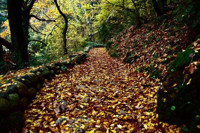 Hike among & Fly above Meteora - The 9:00 AM start: walking out from Saint Nicolas