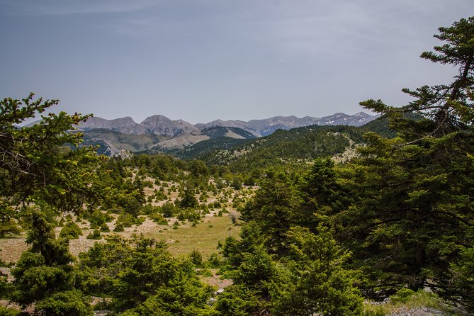 Hiking above Kalamata - A picnic with products from Messinia
