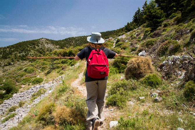 Hiking above Kalamata - Who should book the Mount Kalathi hike