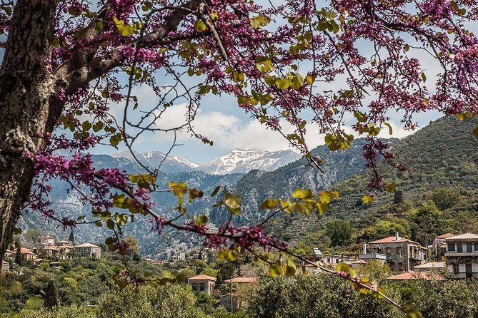 Hiking around Kardamyli - Starting at 9:30 am in Kardamyli