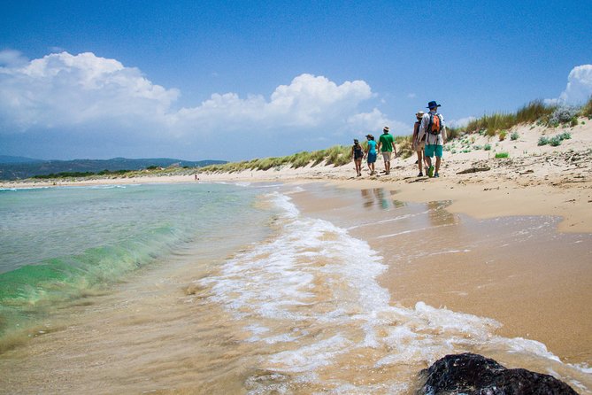Hiking around Navarino Bay - A four-hour outing with a clear rhythm