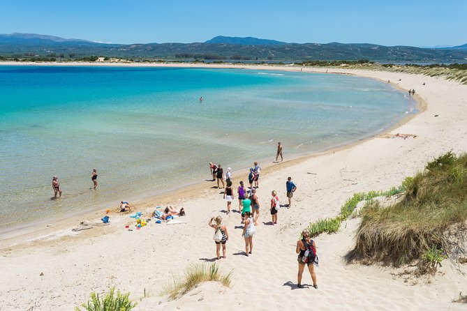 Hiking around Navarino Bay - Who will enjoy this hike most