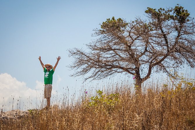 Hiking around Navarino Bay - Should you book Hiking around Navarino Bay?