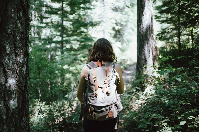Hiking in Parnitha National Park Overlooking Athens - A route adjusted to your pace