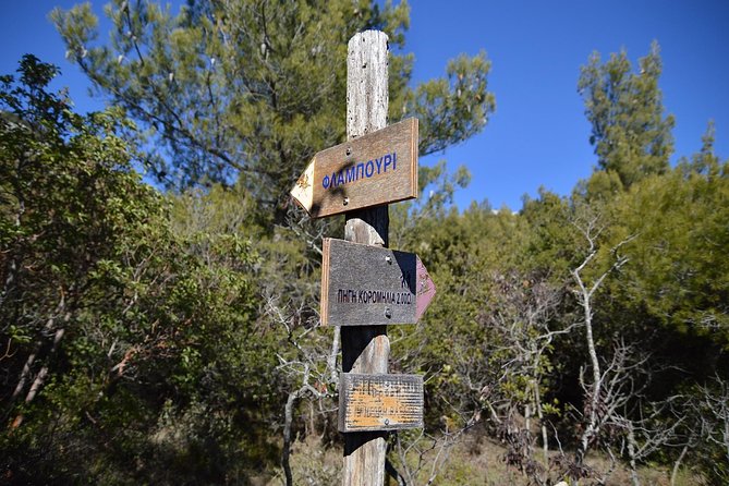 Hiking in Parnitha National Park Overlooking Athens - Starting the walk at Flambouri Refuge