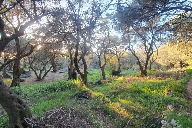 Hiking in the Olive Groves,Villages,Sunset,with Swim Stop - Why this Liapades hike feels different