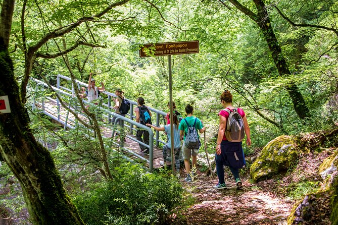 Hiking Menalon & Lousios gorge - Why Lousios Gorge makes this hike special