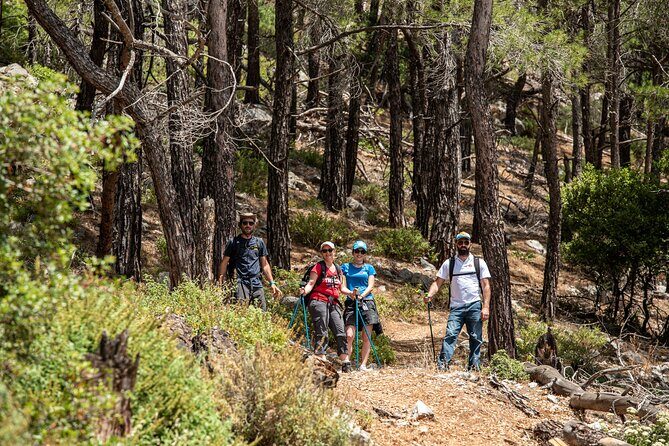 Hiking Mountain Akramitis Rhodes - pick up service available - The Way Down: Pine Forest Descent and a Smarter Pacing Lesson