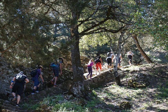Hiking Profitis Ilias Mountain - A traditional snack before the descent