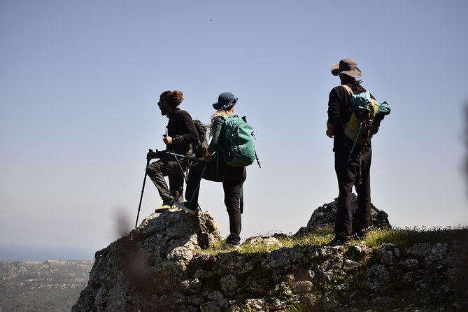 Hiking Profitis Ilias Mountain - What the $60.21 price gives you