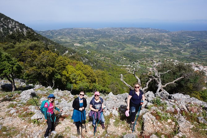 Hiking Profitis Ilias Mountain - A gentle ascent through shaded forest