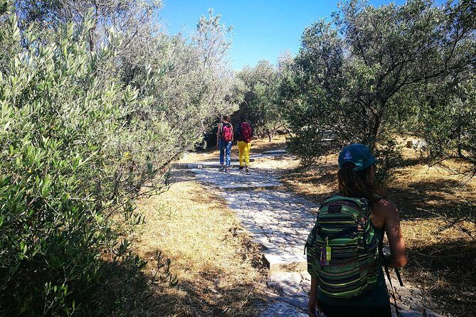 Hills Of Athens Walking Tour - Key reasons this Hills Of Athens walk works