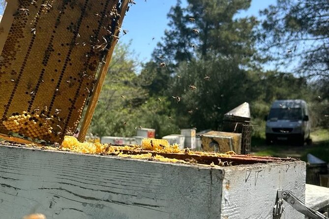Honey production &Tasting experience " Areti Honey " - Key points about Areti Honey
