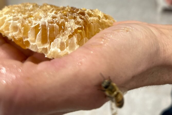 Honey production &Tasting experience " Areti Honey " - What the $68.64 price includes in value